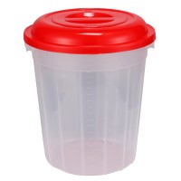 Lily Store Container 20L -Trans