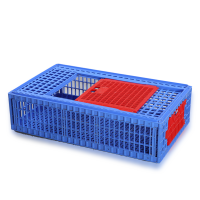 Chicken Case Small - SM Blue