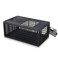Chicken Case Big - Black