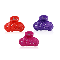 Shiney Hair Clip  12 Pcs Set-Assorted