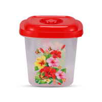 Diamond Container 6L - Trans
